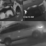 Citrus County Sheriff Investigates String of Unlocked Vehicle Burglaries and Theft in Crystal River