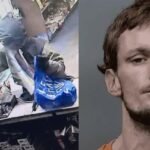 Armed Robbery Suspect Caught After Fleeing from Deputies, Crashing Stolen Vehicle in Citrus County