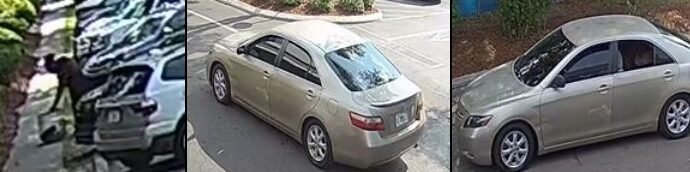 Gainesville Police Investigate Abandonment of 8-Week-Old Poodle in Critical Condition
