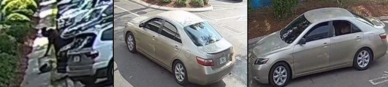 Gainesville Police Investigate Abandonment of 8-Week-Old Poodle in Critical Condition