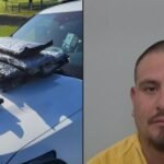 Traffic Stop Near US-441 Leads to Seizure of 45 Pounds of Marijuana and Arrest of California Man