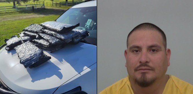 Traffic Stop Near US-441 Leads to Seizure of 45 Pounds of Marijuana and Arrest of California Man