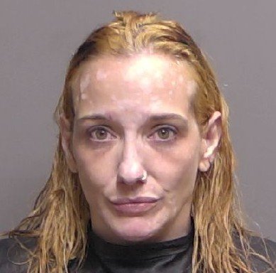 Woman Attempts to Smuggle Drugs into Flagler County Jail After Traffic Stop