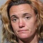 Neptune Beach Woman Arrested in Vehicle Burglary and Package Theft Case