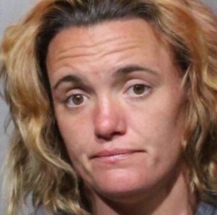 Neptune Beach Woman Arrested in Vehicle Burglary and Package Theft Case