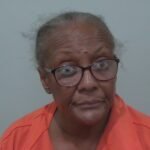Armed Woman Arrested After Home Disturbance in Lake City