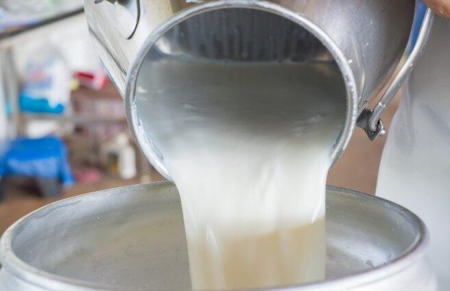 Florida Health Officials Warn of Raw Milk Illnesses Linked to Keely Farms