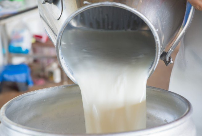 Florida Health Officials Warn of Raw Milk Illnesses Linked to Keely Farms