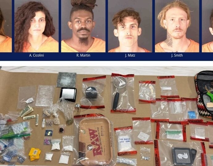 Six Arrested on Drug Charges Following Police Operation at Venice Music Festival