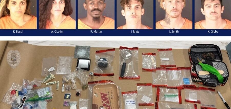 Six Arrested on Drug Charges Following Police Operation at Venice Music Festival