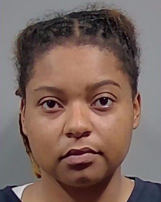 Miami Woman Arrested on 72 Counts of Petition Fraud and Perjury