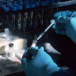 Florida Expands Cancer Innovation Fund with  Million Investment in Nutrition-Focused Research