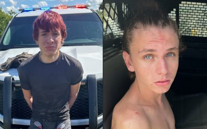 K-9 Units Help Capture Four Suspects After Stolen Car Crashes Near Canal K-9 Units Help Capture Four Suspects After Stolen Car Crashes Near Canal