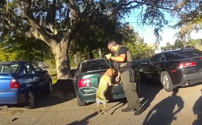 Putnam County Deputy Arrests Convicted Felon with Gun and Drugs at School Parking Lot Putnam County Deputy Arrests Convicted Felon with Gun and Drugs at School Parking Lot