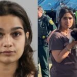 Puppy Thief’s Getaway Falls Apart as Stolen Pomeranian Is Recovered in Polk County