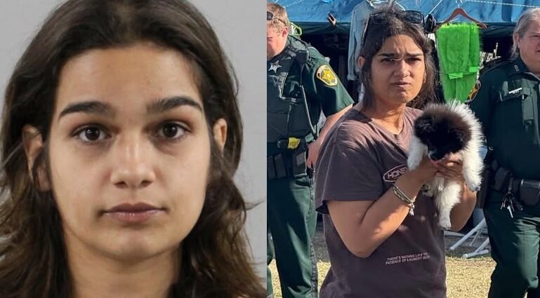 Puppy Thief’s Getaway Falls Apart as Stolen Pomeranian Is Recovered in Polk County