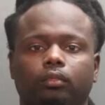 michael-deshawn-williams