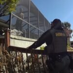 deputy-trying-to-help-crisis