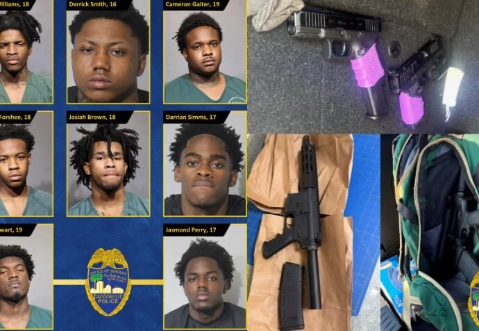 8 arrested for felonies