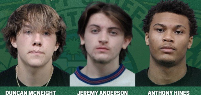 mcneight-anderson-hines