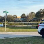 road-rage-palmetto