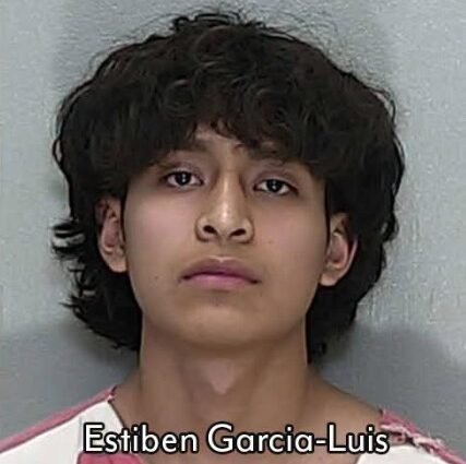 estiben-garcia-luis