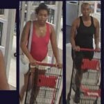 Wanted suspects in TJ Maxx Theft