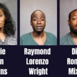 theft-arrested-5