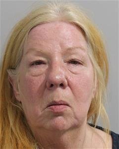 Winter Haven Animal Cruelty Arrest After Dead Donkey, Cats Found