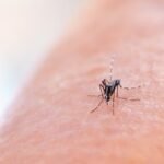 mosquitoes-warning