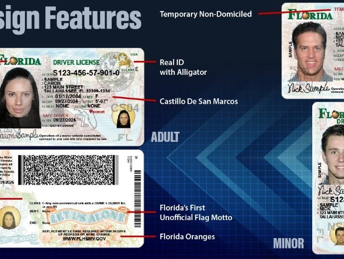 new-florida-dl